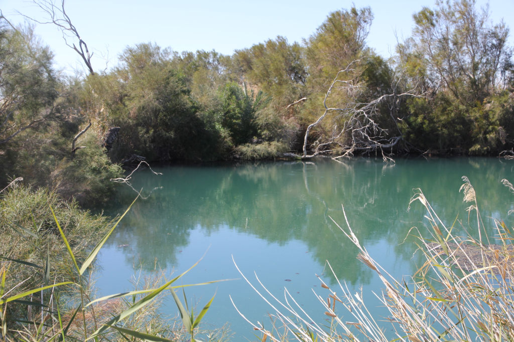 mound spring