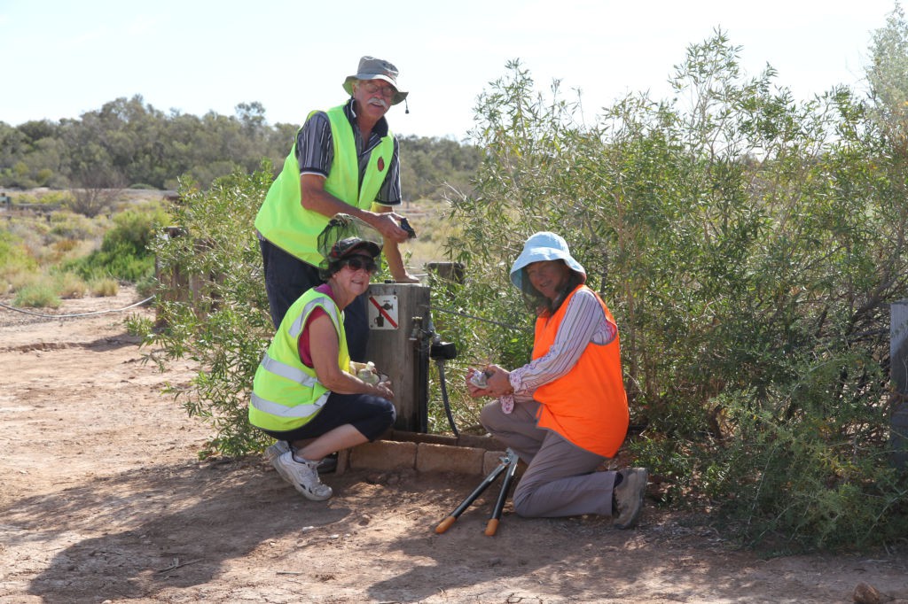 irrigation maintenance