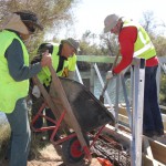 pouring concrete